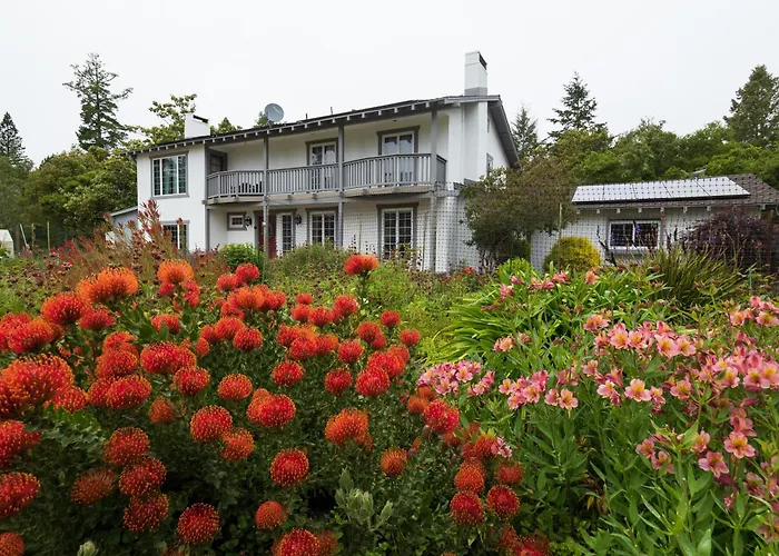 Bonny Doon Retreat